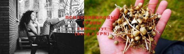ALPHA PVP Алексин