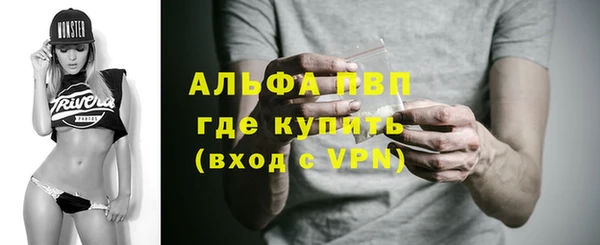 гашик Арсеньев