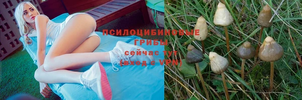 мдпв Баксан
